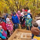 Ein Schüler stellt ein Igelhaus in ein Igelgehege